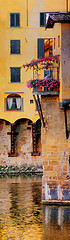 Florence city view