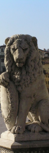 Statue of Lion
              in Piazza Santa Croce in Florence Italy