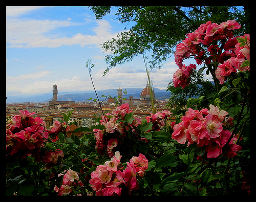 Florence panorama - ph.
Federica Gentile